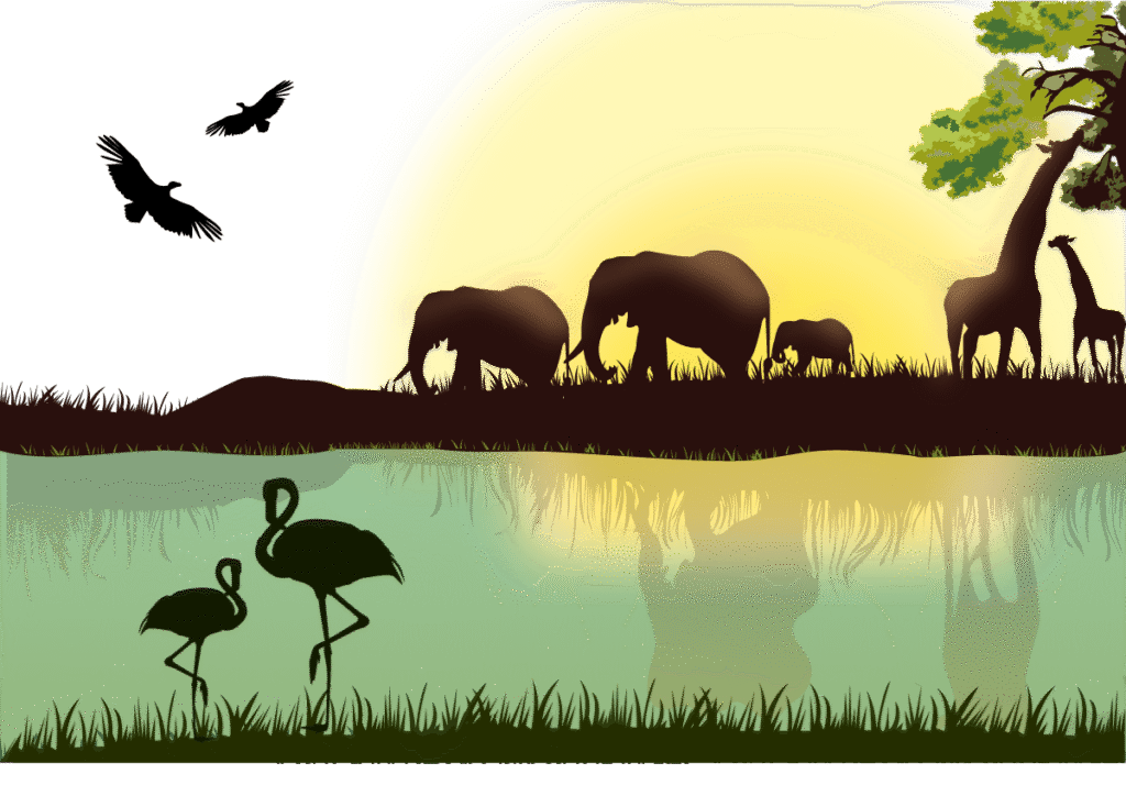 El Blog de Mildred Cuentos Infantiles